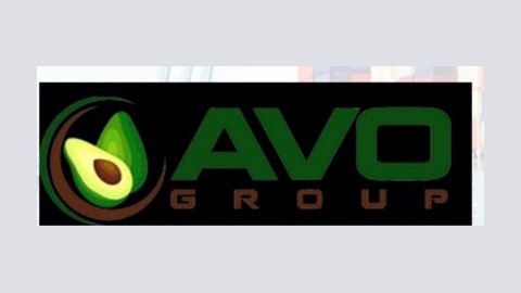 AVO Group